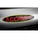 Cobra-3-D-Nameplate-mit-Hitzedichtung-und-Nieten.jpg