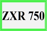 für ZXR 750